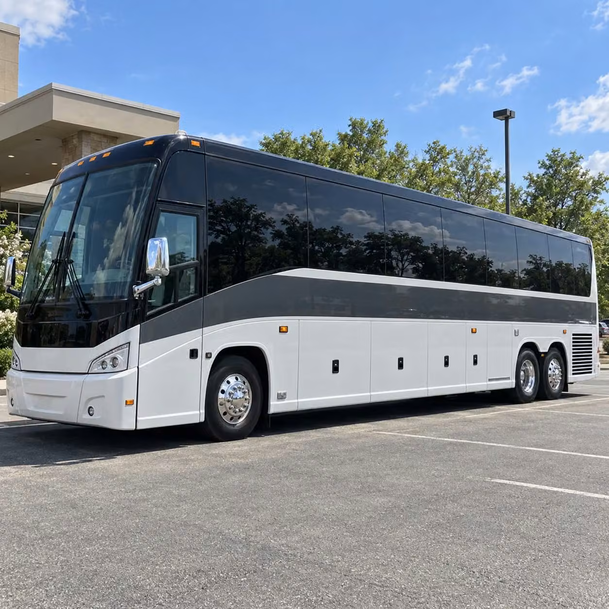 bachelorette parties birthday buses and night out transportation in ann arbor